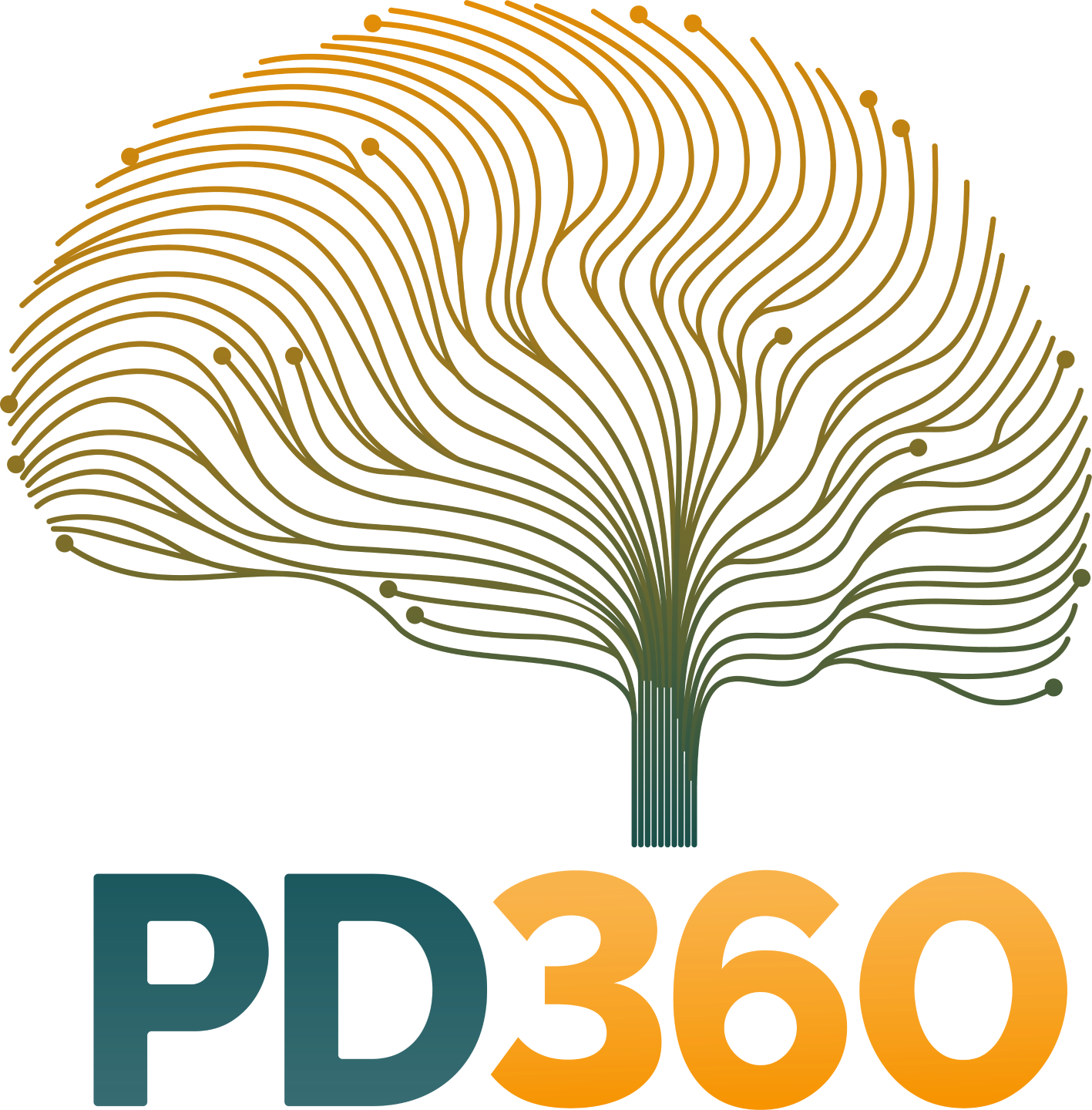 PD360-logo-REBRAND%20(1).png
